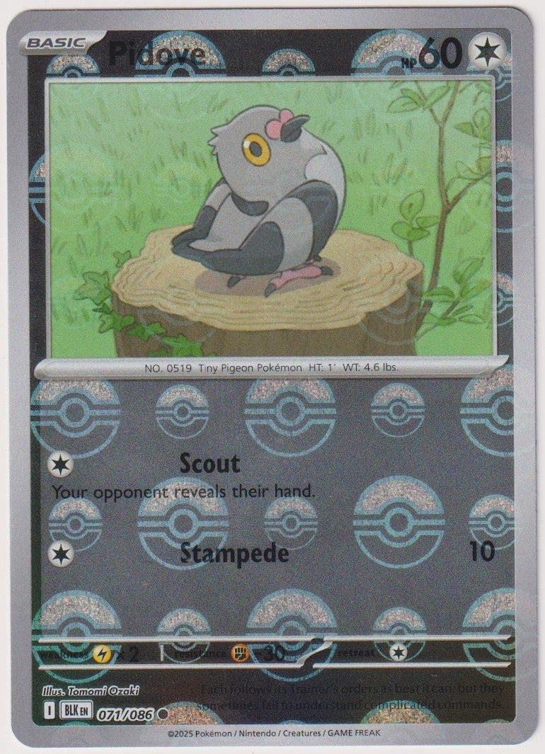 Pokemon TCG Pidove #71/086 Common (C) Pokeball Pattern Holo Foil English 2025 – Bild 1