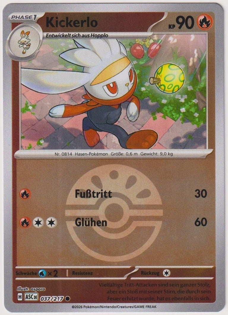 Pokemon TCG Raboot #37/217 Common (C) Reverse Holo Deutsch 2026 – Bild 1