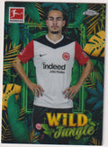 Topps Chrome WILD Jungle 2024-25 Eintracht Frankfurt Arthur Theate Parallel – Bild 1