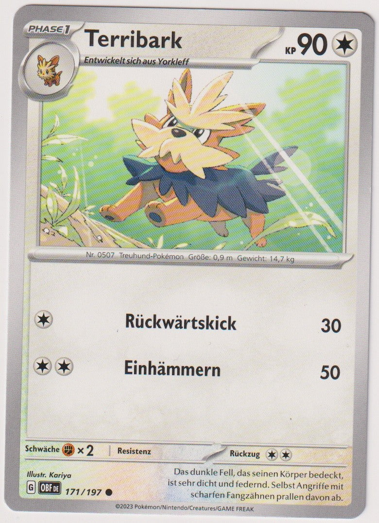 Pokemon TCG Terribark #171/197 Common (C) Deutsch 2023 – Bild 1