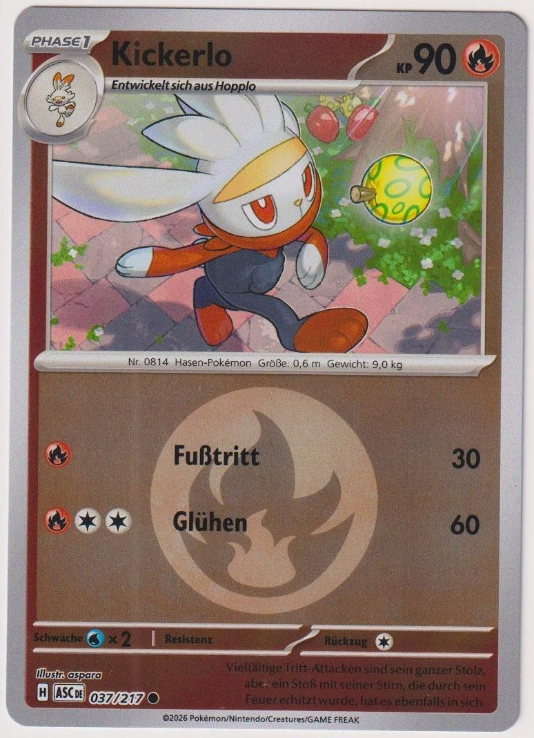Pokemon TCG Raboot #37/217 Common (C) Reverse Holo Deutsch 2026 – Bild 1