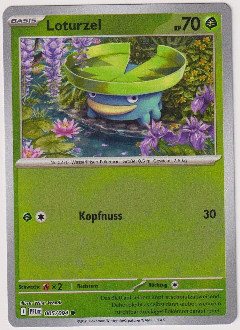 Pokemon TCG Lotad #5/094 Common (C) Reverse Holo Deutsch 2025 – Bild 1