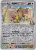 Pokemon TCG Skwovet #158/182 Common (C) Reverse Holo Deutsch 2025 – Bild 1