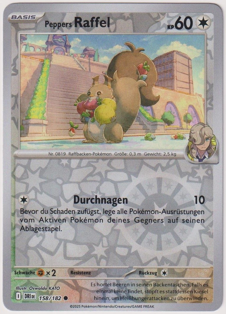 Pokemon TCG Skwovet #158/182 Common (C) Reverse Holo Deutsch 2025 – Bild 1