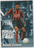 Panini PROFIS WÄHLEN Rodolfo Cardoso Freiberug Fußball '95 Parallel Rare – Bild 1