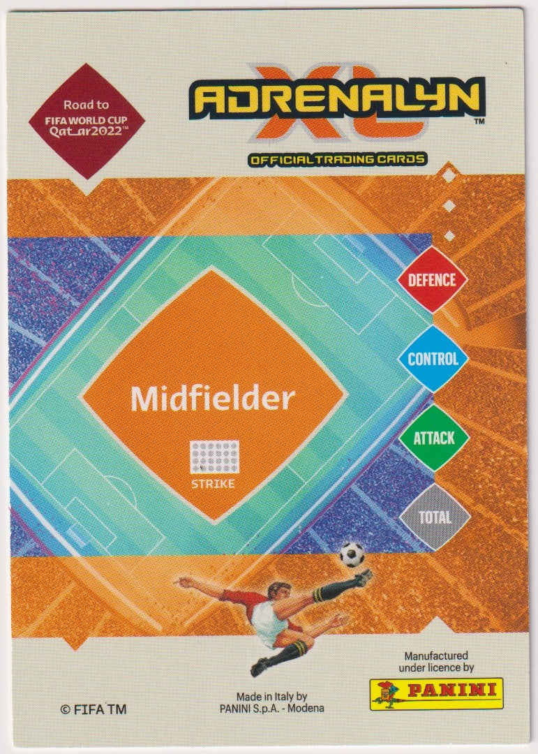 Panini Road to FIFA WORLD CUP Qat_ar2022 Julian Baumgartlinger Parallel Rare – Bild 2