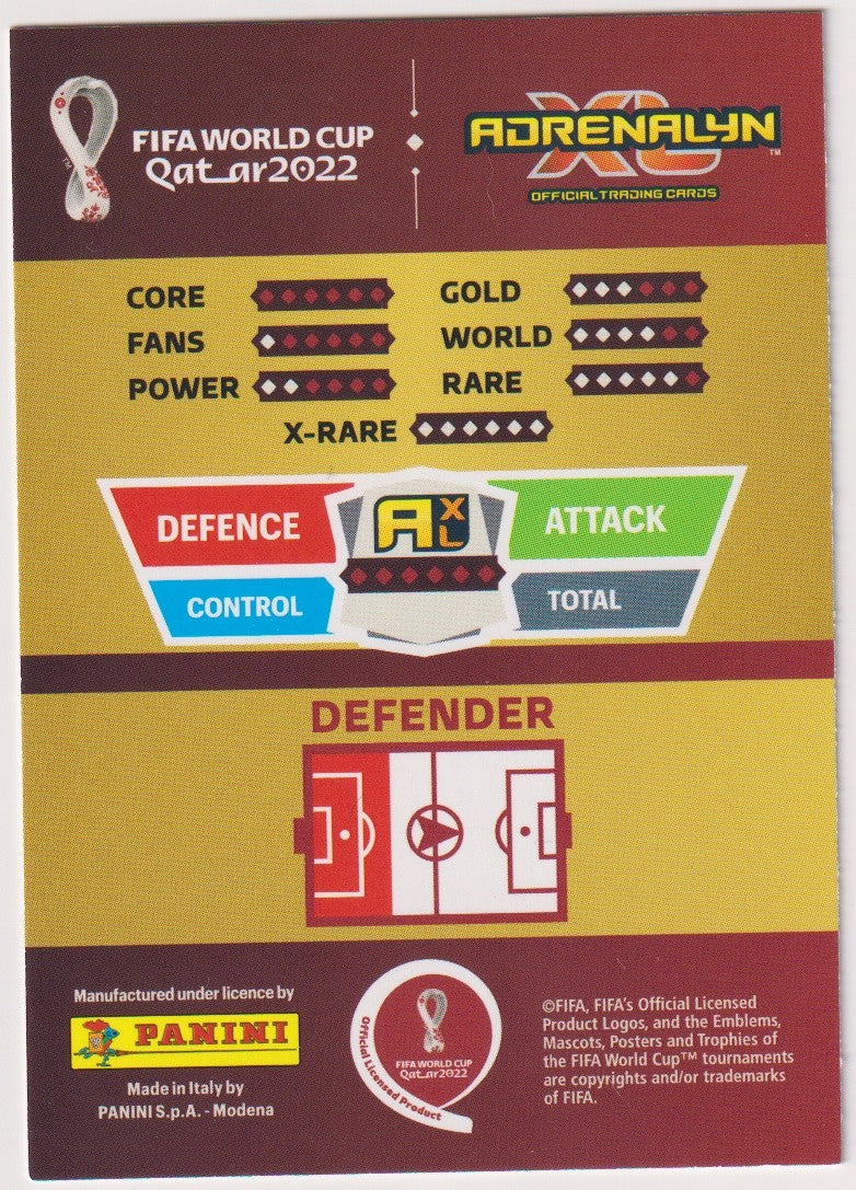 Panini FIFA Jan Vertonghen Belgien Adrenalyn XL Official Trading Cards Parallel – Bild 2