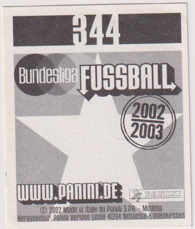 Panini Bundesliga Fussball 2002-03 Michael Ballack FC Bayern München Parallel – Bild 2